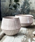 Matchasett rosa thumbnail