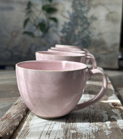 Reinrosa cappuccinokopper rosa